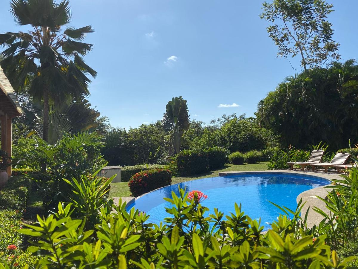 Palm Coast Luxury Rentals Esterillos Este Eksteriør bilde